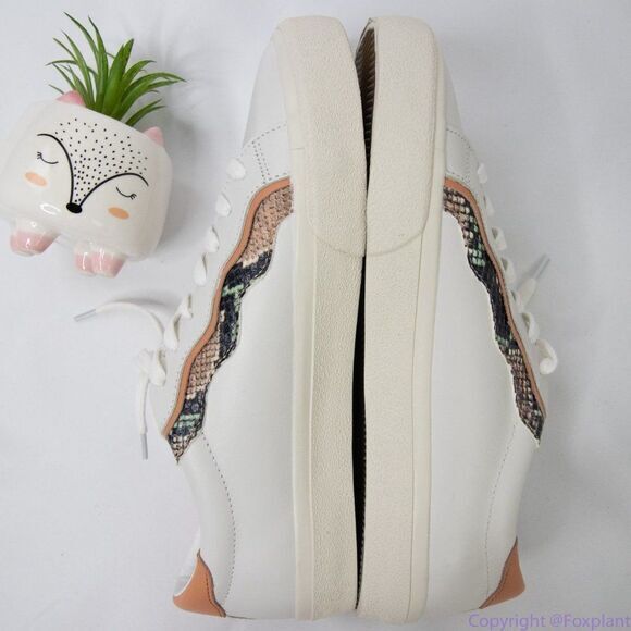 Madewell Sidewalk Low-Top Sneakers‎ in Snake Embossed Leather size 10.5 - Picture 7 of 9